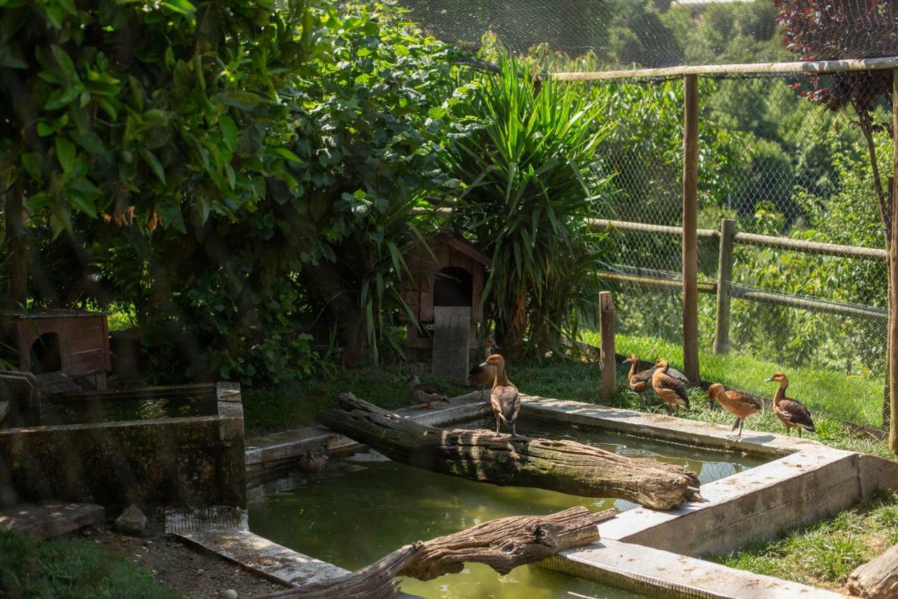 Casa Do Sobrado Hotel Vila Real Ngoại thất bức ảnh